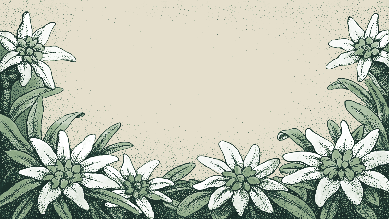 Footer Background
